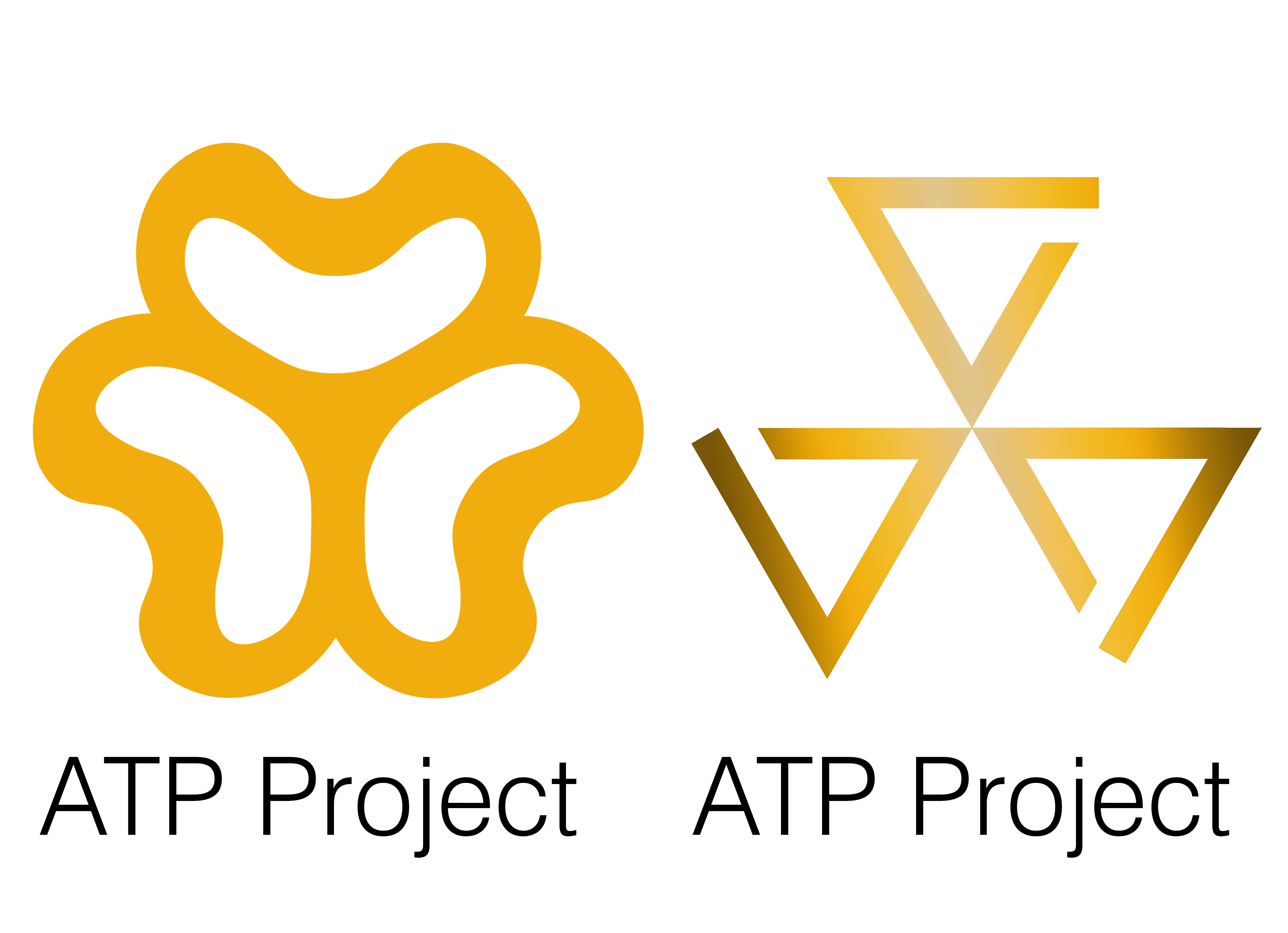 ATP Project